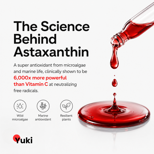 Astaxanthin Glass Ampoules